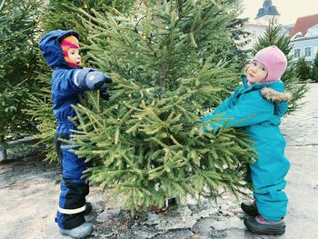 Two siblings choosing a christmas tree at the christmas market in tallinn