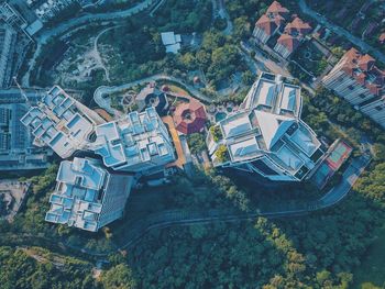 High angle view of trees and buildings in city