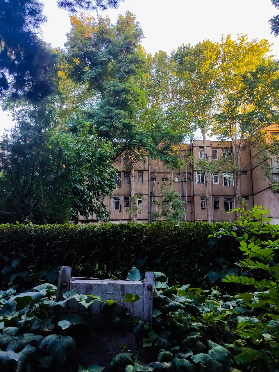 plant, tree, garden, architecture, built structure, autumn, building exterior, nature, leaf, flower, building, no people, growth, house, day, sunlight, outdoors, green, sky, residential district, woodland, rural area, history, château, estate, beauty in nature, reflection