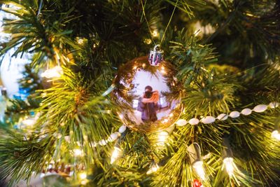 Close-up of christmas tree