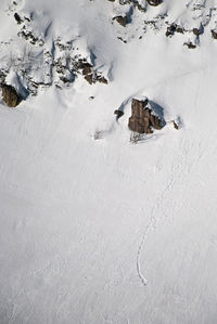 High angle view of snow covered field