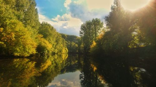 Scenic view of lake by trees against sky