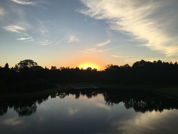 Reflection of trees in calm lake
