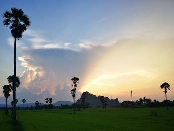 Silhouette palm trees on field against sky at sunset