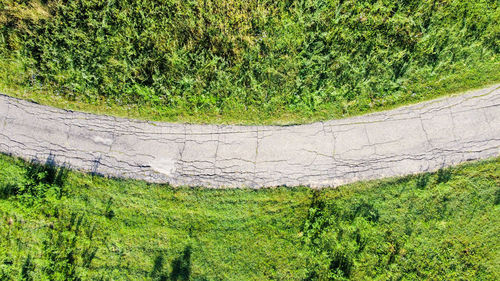 High angle view of trees growing on land