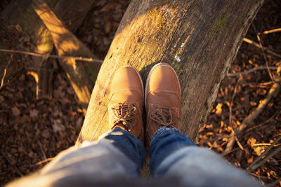 Low section of man standing on wood in forest