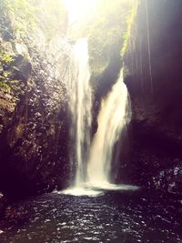 Scenic view of waterfall in forest