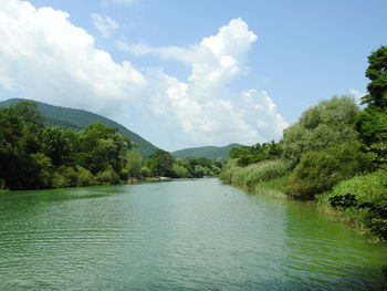 Scenic view of lake in forest against sky