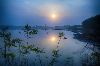 Scenic view of plants against sky during sunset