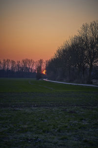 Silhouette trees on field against sky during sunset