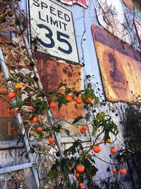 Low angle view of road sign against building