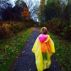 Rear view of girl walking in park