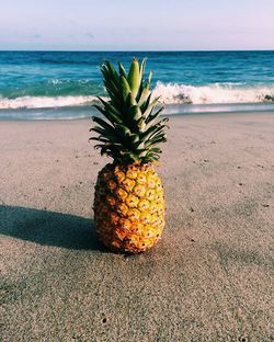 Close-up of fruit on beach against sea