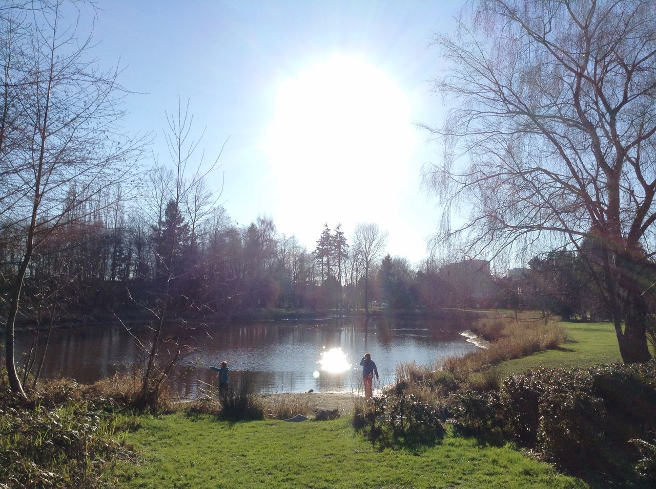 water, tree, sun, sunlight, grass, tranquil scene, tranquility, reflection, sunbeam, lake, sky, scenics, nature, beauty in nature, lens flare, growth, sunny, pond, river, outdoors