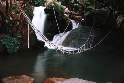 Scenic view of waterfall in forest