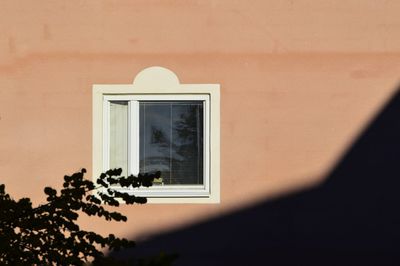 Low angle view of tree against building