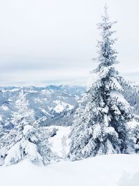 Scenic view of snow covered mountains against sky