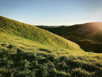 Low angle view of green landscape against clear sky