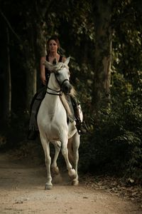 Rear view of woman riding horse in forest