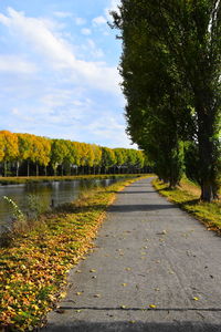 Road amidst trees against sky