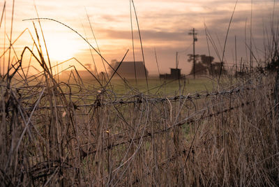 Scenic view of field against sky during sunset