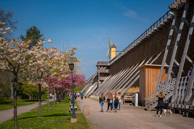 People walking in park