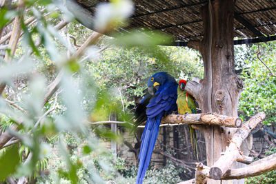 Bird perching on a branch