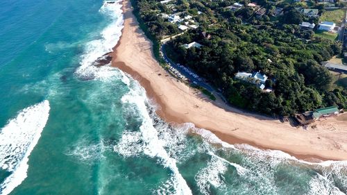 High angle view of sea and trees