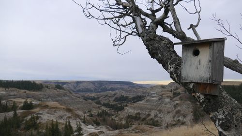 Close-up of bare tree against mountain range