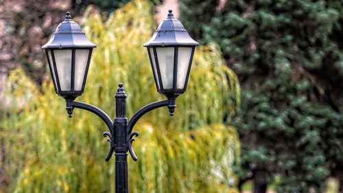 Close-up of street light in park