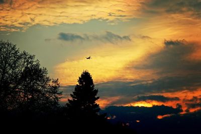 Silhouette of trees against cloudy sky