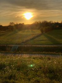 Scenic view of field against sky during sunset