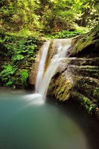 Scenic view of waterfall in forest