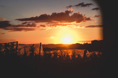 Silhouette trees against sky during sunset
