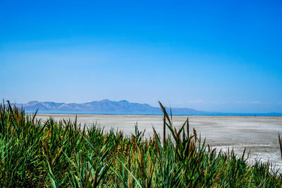 Scenic view of sea against clear blue sky