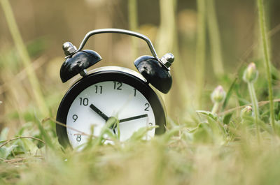 Close-up of alarm clock on grass