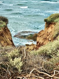 Scenic view of beach