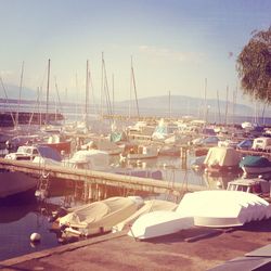 Boats in harbor