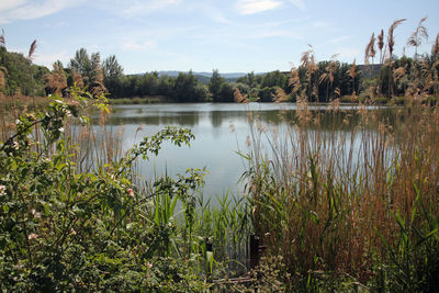 Scenic view of lake against sky