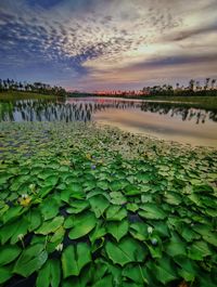 Scenic view of lake against sky during sunset