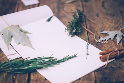 High angle view of leaves on table