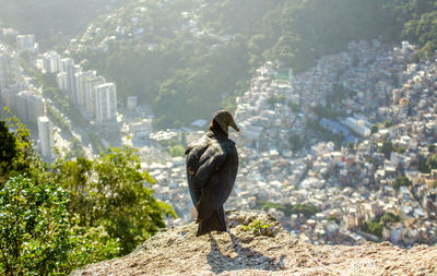 Low-angle view of bird with the rocinha favela in rio de janeiro