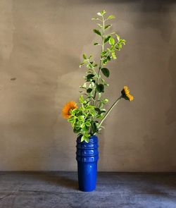 Potted plant in vase against wall