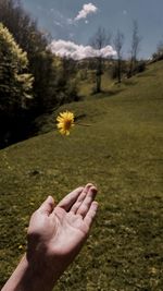 Cropped hand holding yellow flower on air