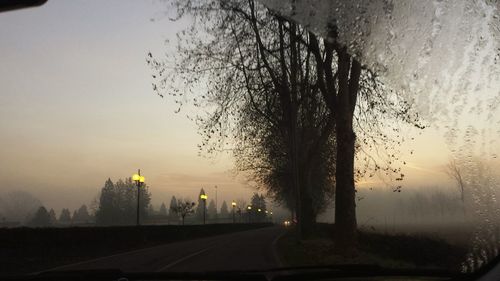 Road passing through forest