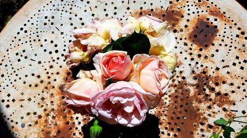 High angle view of roses in plate on table