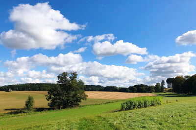 Scenic view of agricultural field against sky