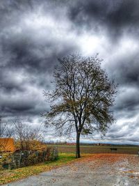 Bare tree against cloudy sky