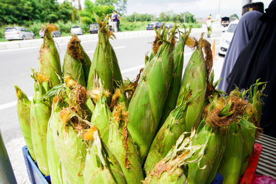 Close-up of vegetables for sale in market