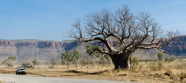 Bare trees on landscape against sky